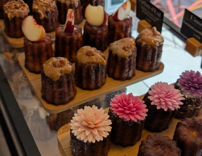 d1ec833e-b95c-473d-945b-b8911ac3b7ff