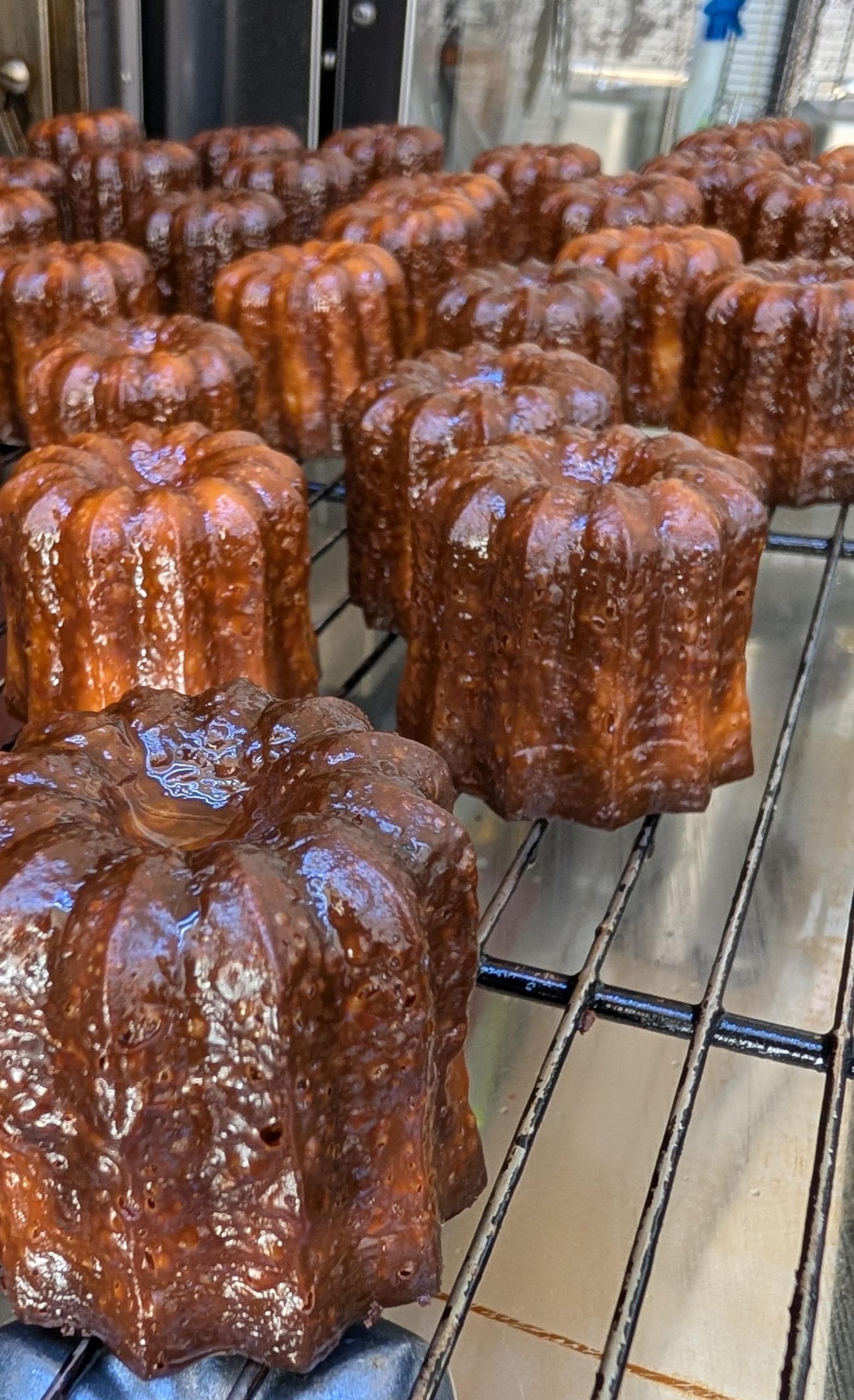 75bfeb7e-40c0-43ef-bf5c-7cd5513dc5f6